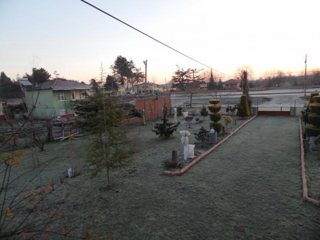 Name:  33-033.jpg
Views: 882
Size:  40.0 KB