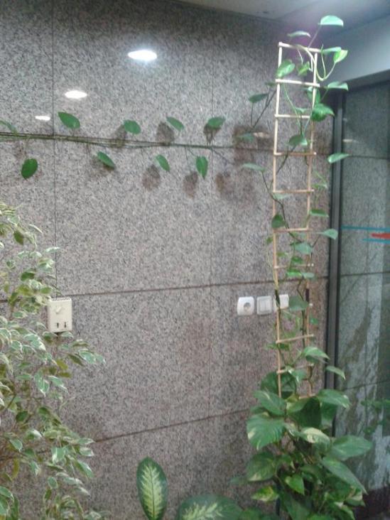 Name:  2014-01-22 19.24.12.jpg
Views: 707
Size:  68.2 KB