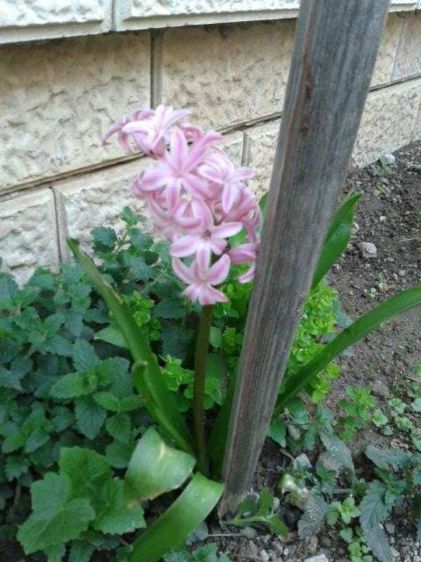 Name:  Resim 754-800.jpg
Views: 674
Size:  60.7 KB
