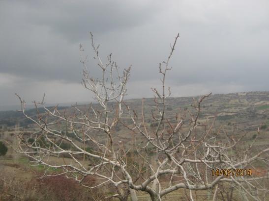 Name:  antep f..jpg
Views: 846
Size:  29.7 KB