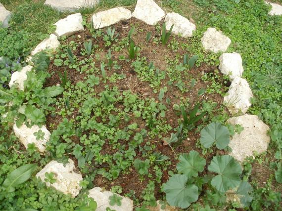 Name:  P1010167a.jpg
Views: 523
Size:  71.5 KB