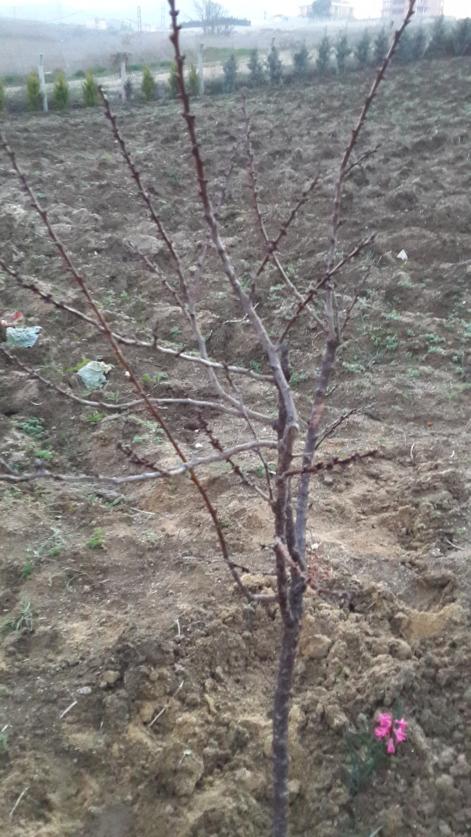 Name:  20140216_175319.jpg
Views: 1112
Size:  79.1 KB