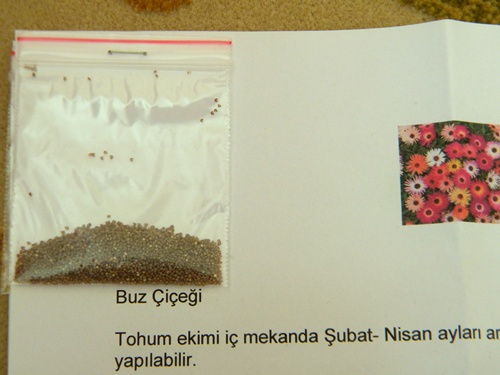 Name:  DSCN9009.JPG
Views: 438
Size:  68.6 KB