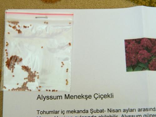 Name:  DSCN9010.jpg
Views: 427
Size:  20.4 KB