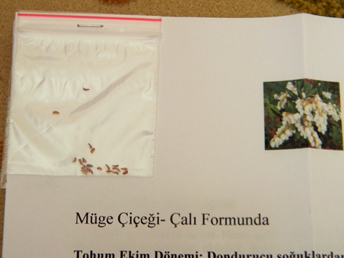 Name:  DSCN9011.JPG
Views: 404
Size:  60.5 KB