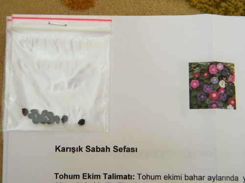 Name:  DSCN9013.JPG
Views: 412
Size:  61.4 KB