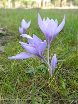 Name:  DSCN8723.JPG
Views: 393
Size:  69.1 KB