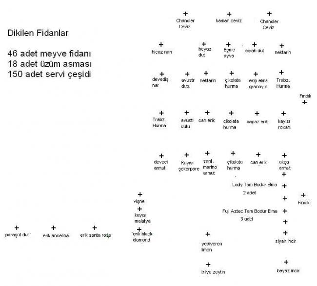 Name:  meyve fidan plan.jpg
Views: 1118
Size:  31.4 KB