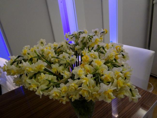Name:  nee.jpg
Views: 1005
Size:  39.0 KB