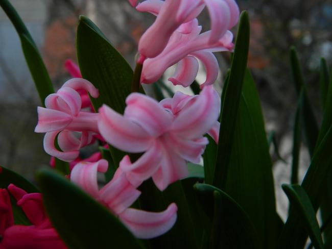 Name:  DSCN1386.jpg
Views: 406
Size:  28.1 KB