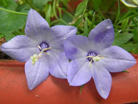 Name:  DSCN8670.JPG
Views: 985
Size:  69.3 KB