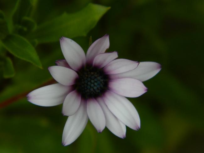 Name:  DSCN1409.jpg
Views: 595
Size:  18.8 KB