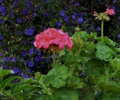 Name:  IMG_5699.jpg
Views: 730
Size:  26.5 KB