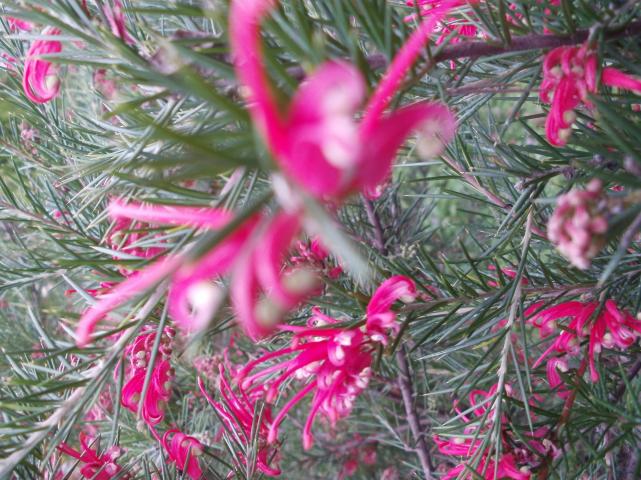 Name:  P1010043a.jpg
Views: 363
Size:  70.3 KB