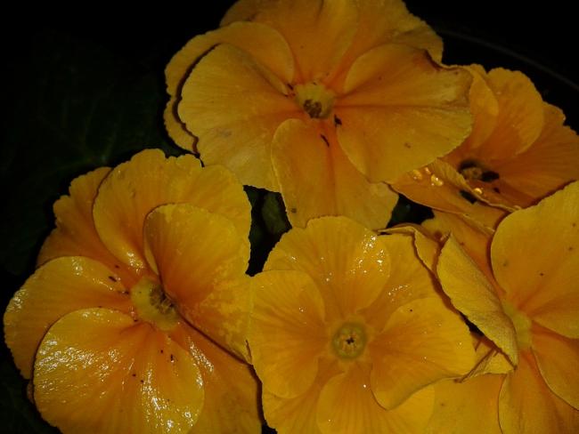 Name:  2014-02-24 22.57.58.jpg
Views: 960
Size:  33.2 KB