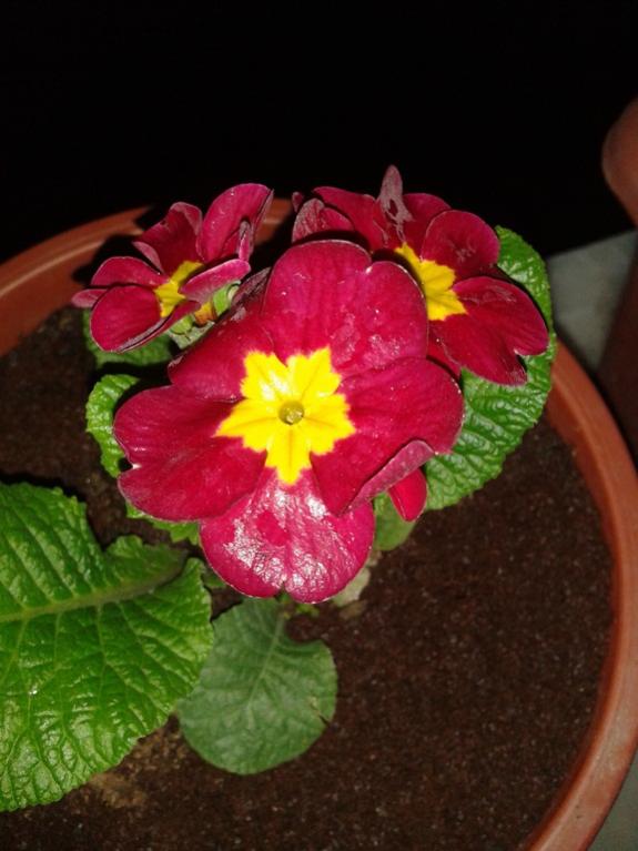 Name:  2014-02-24 22.58.14.jpg
Views: 966
Size:  52.3 KB