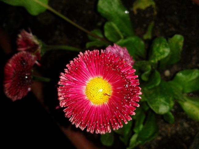 Name:  2014-02-24 22.59.11.jpg
Views: 948
Size:  36.2 KB