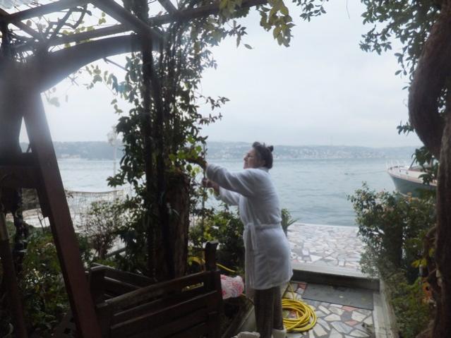 Name:  DSCF4433.jpg
Views: 393
Size:  48.0 KB