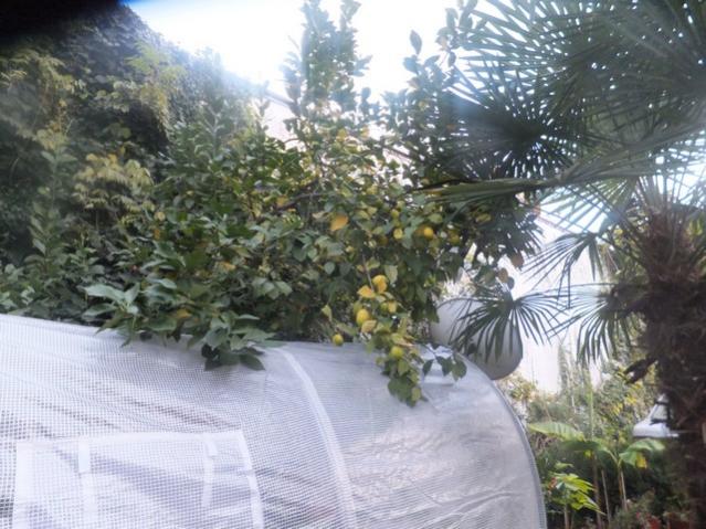 Name:  DSCF4501.jpg
Views: 366
Size:  59.8 KB