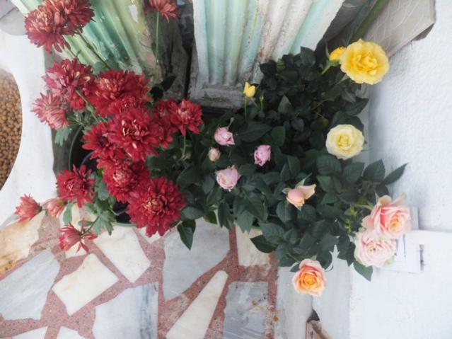 Name:  DSCF4782.jpg
Views: 369
Size:  46.2 KB