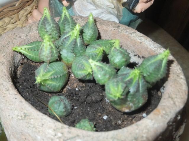 Name:  DSCF4793.jpg
Views: 342
Size:  46.8 KB