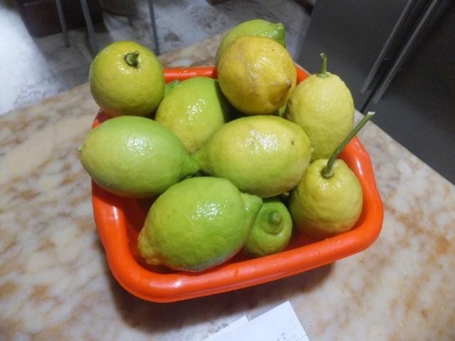 Name:  DSCF4795.jpg
Views: 347
Size:  34.1 KB