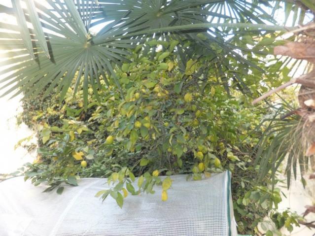 Name:  DSCF4801.jpg
Views: 374
Size:  64.1 KB