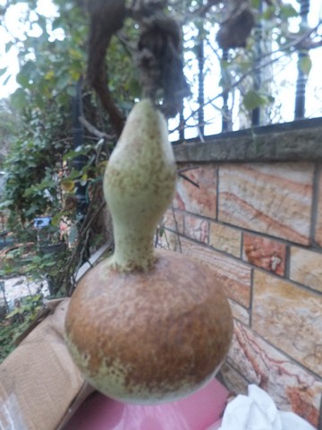 Name:  DSCF4919.jpg
Views: 259
Size:  60.3 KB