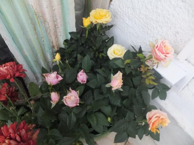 Name:  DSCF4969.jpg
Views: 322
Size:  41.6 KB