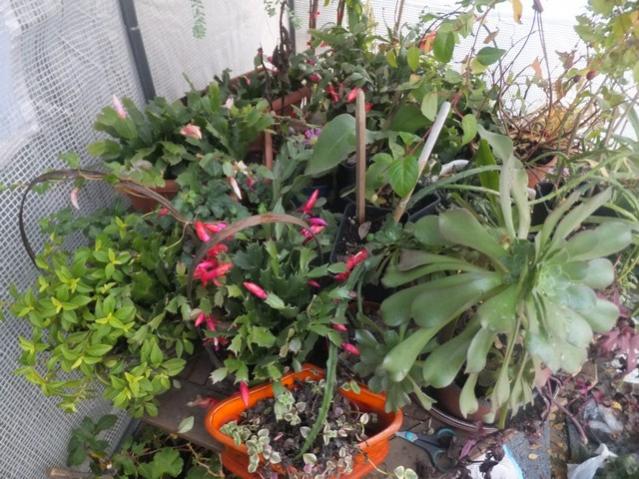 Name:  DSCF5077.jpg
Views: 457
Size:  66.6 KB