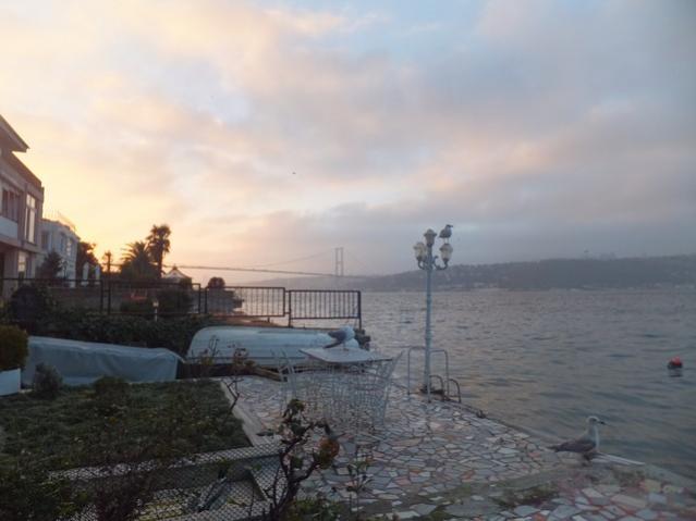 Name:  DSCF5104.jpg
Views: 474
Size:  31.3 KB