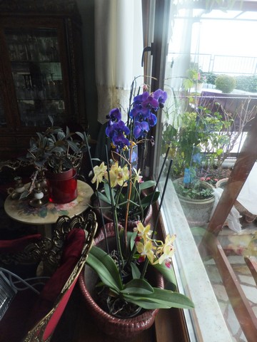 Name:  DSCF5202.jpg
Views: 705
Size:  66.9 KB