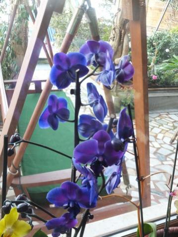 Name:  DSCF5208.jpg
Views: 731
Size:  37.2 KB