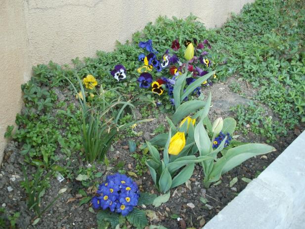Name:  P1010222a.jpg
Views: 304
Size:  70.4 KB