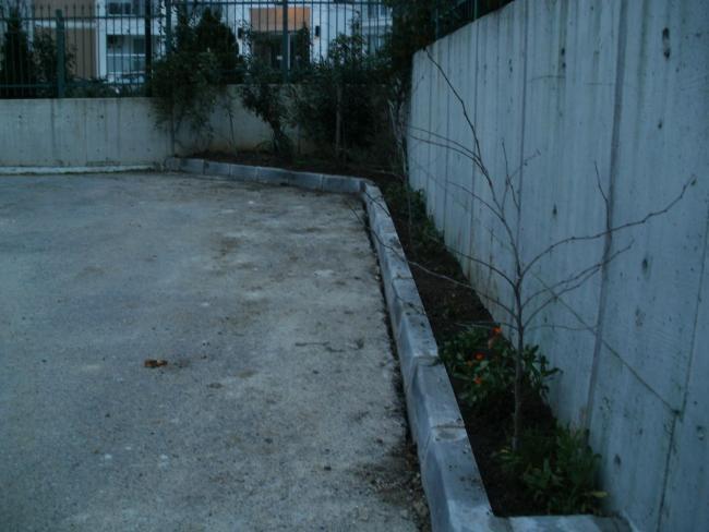 Name:  P2170096c.JPG
Views: 442
Size:  40.4 KB