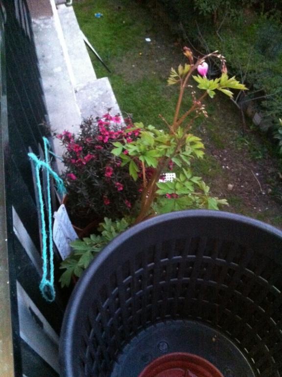 Name:  56-080.jpg
Views: 706
Size:  66.9 KB