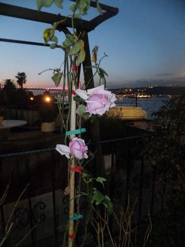 Name:  DSCF5258.jpg
Views: 331
Size:  50.9 KB