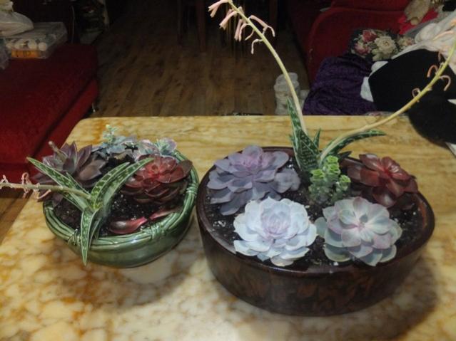 Name:  DSCF5486.jpg
Views: 494
Size:  42.7 KB