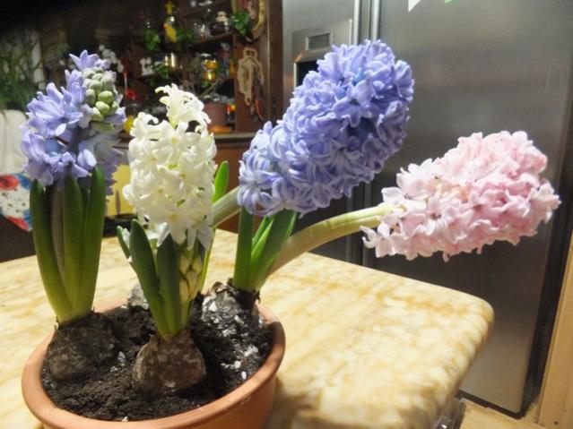 Name:  DSCF5531.jpg
Views: 496
Size:  47.3 KB