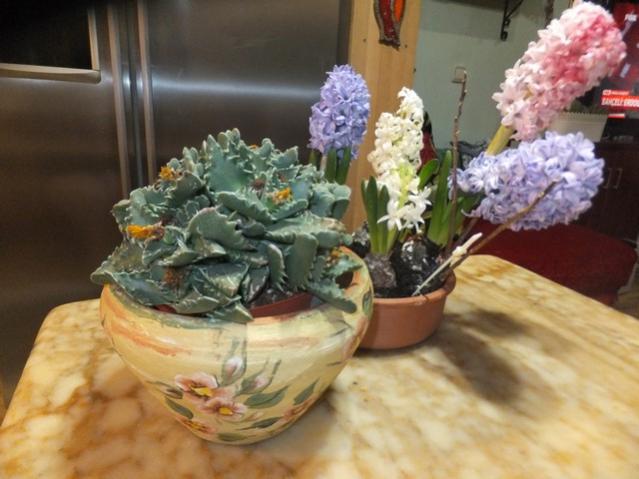 Name:  DSCF5579.jpg
Views: 474
Size:  43.4 KB