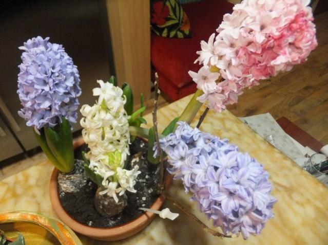 Name:  DSCF5583.jpg
Views: 485
Size:  47.7 KB