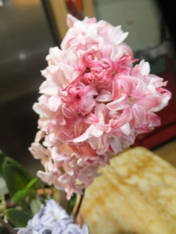 Name:  DSCF5585.jpg
Views: 484
Size:  47.9 KB