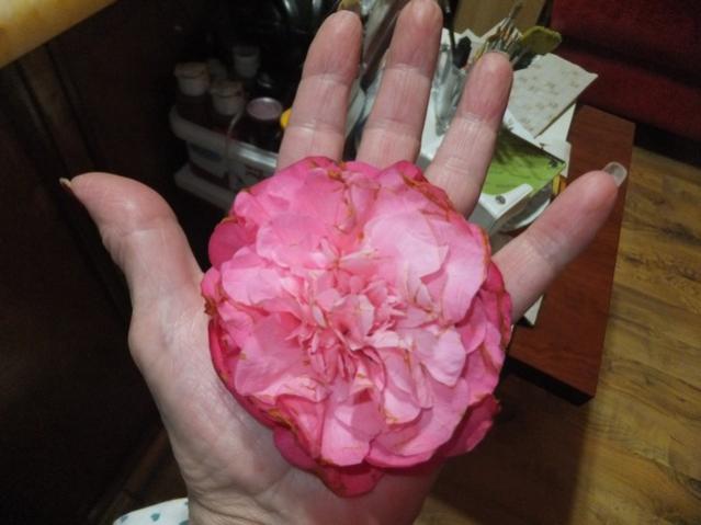 Name:  DSCF5591.jpg
Views: 480
Size:  33.7 KB