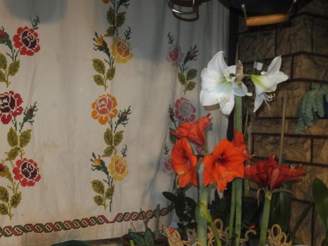 Name:  DSCF5604.jpg
Views: 493
Size:  40.9 KB