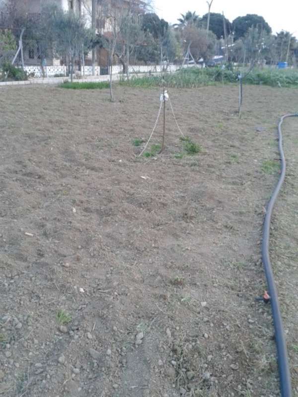 Name:  bahce-4-800.jpg
Views: 553
Size:  62.9 KB