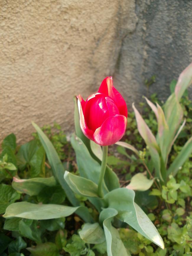 Name:  P1010014a.jpg
Views: 778
Size:  63.3 KB
