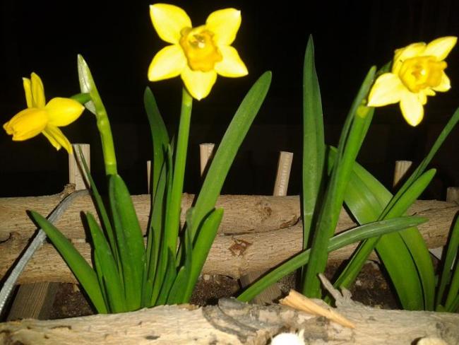 Name:  2014-04-01 01.05.13.jpg
Views: 669
Size:  45.9 KB