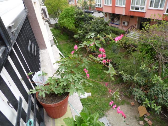 Name:  15-028.jpg
Views: 641
Size:  70.9 KB