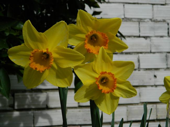 Name:  DSCN1477.jpg
Views: 627
Size:  36.5 KB