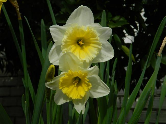Name:  DSCN1478.jpg
Views: 611
Size:  34.9 KB